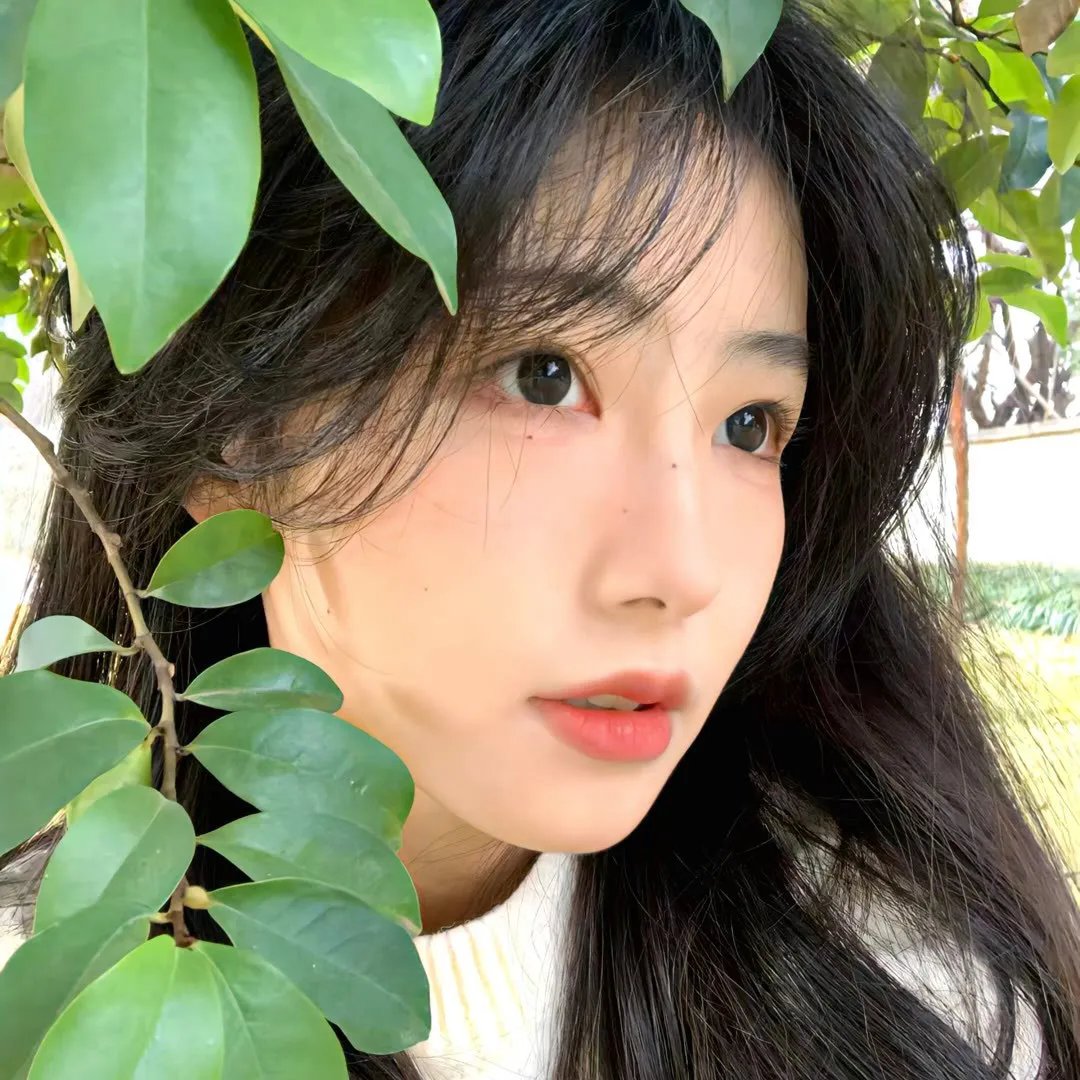努力的生活封面