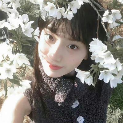 坐花醉月封面