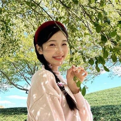 凸槌高材生封面